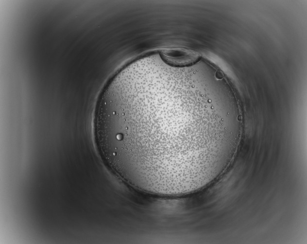 X0000090411237200707201054
