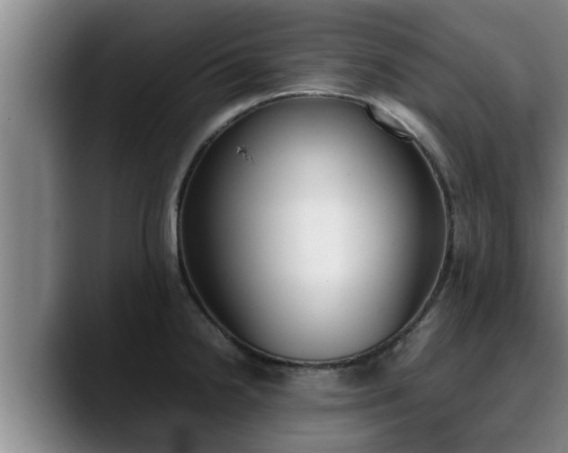 X0000090411238200707201054