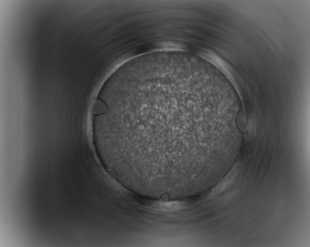 X0000090411243200707201054