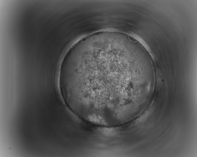 X0000090411245200707201054