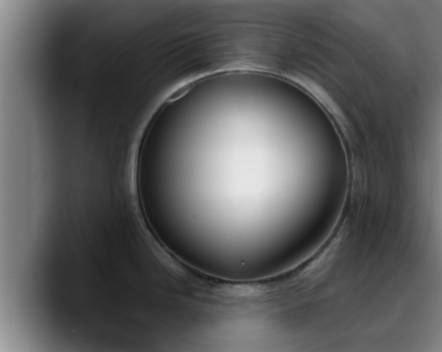 X0000090411246200707201054