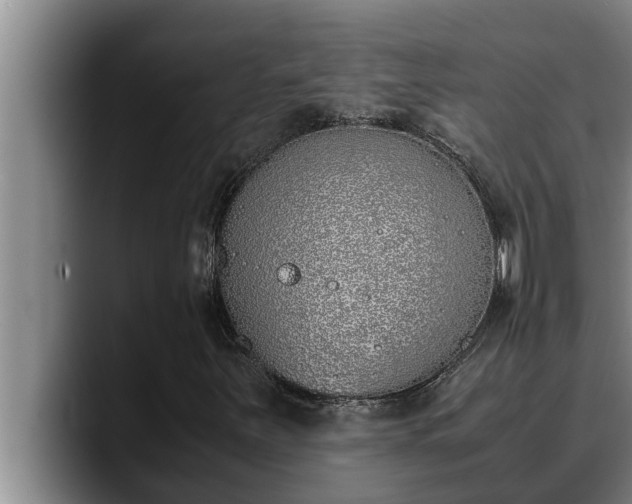 X0000090411251200707201054