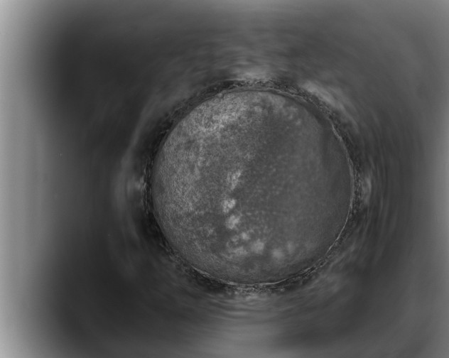 X0000090411254200707201054