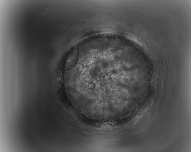 X0000090411255200707201054