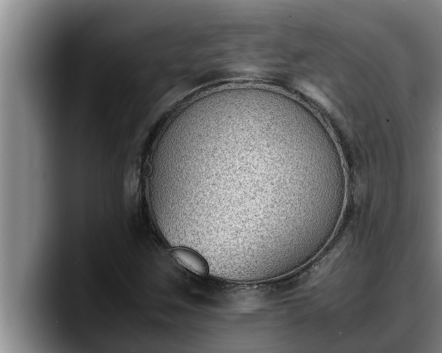 X0000090411259200707201054