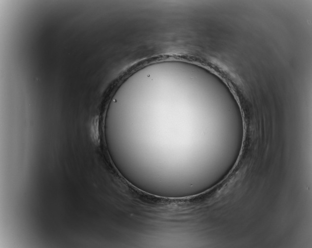 X0000090411262200707201054