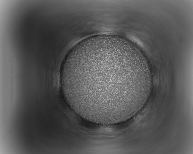 X0000090411267200707201054