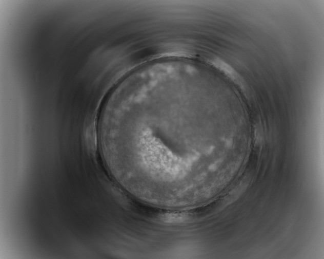 X0000090411274200707201054