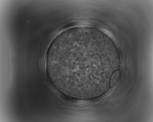 X0000090411275200707201054