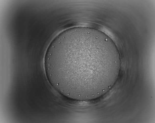 X0000090411283200707201053