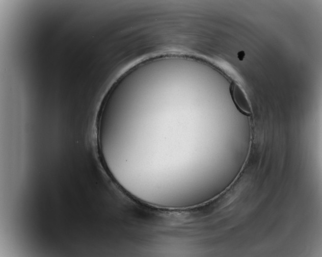 X0000090411287200707201053