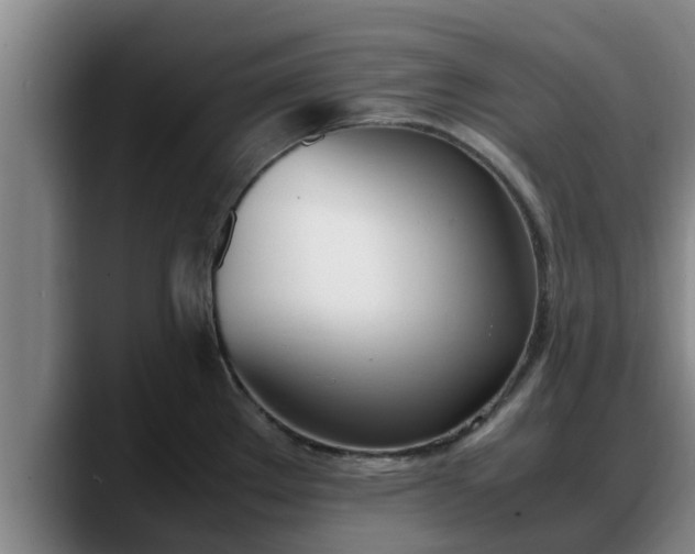 X0000090411289200707201053