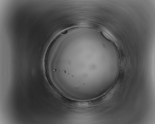 X0000090411291200707201053