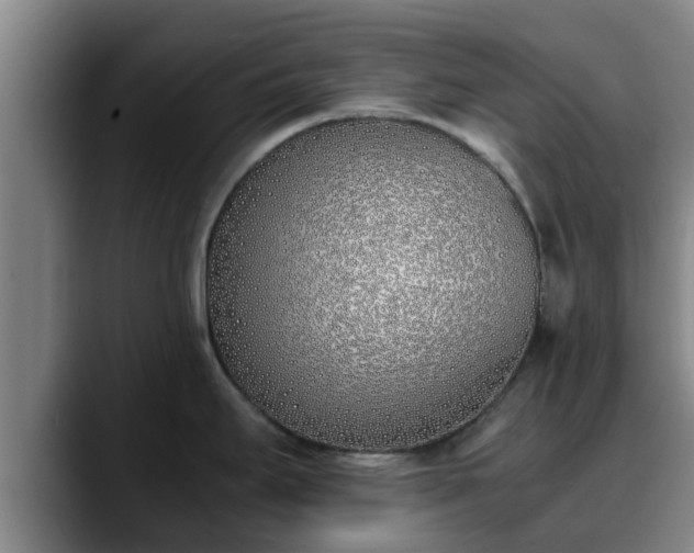 X0000090411295200707201053