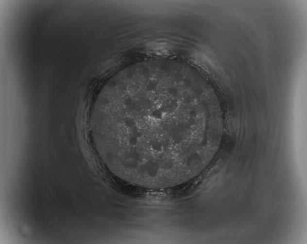 X0000090411297200707201053
