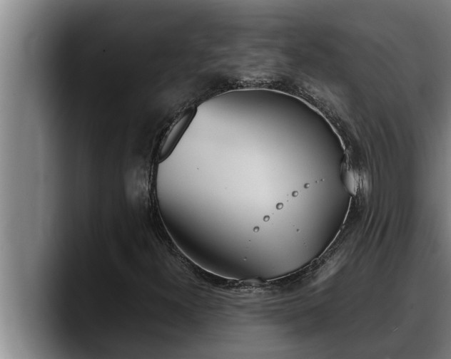 X0000090411300200707201053