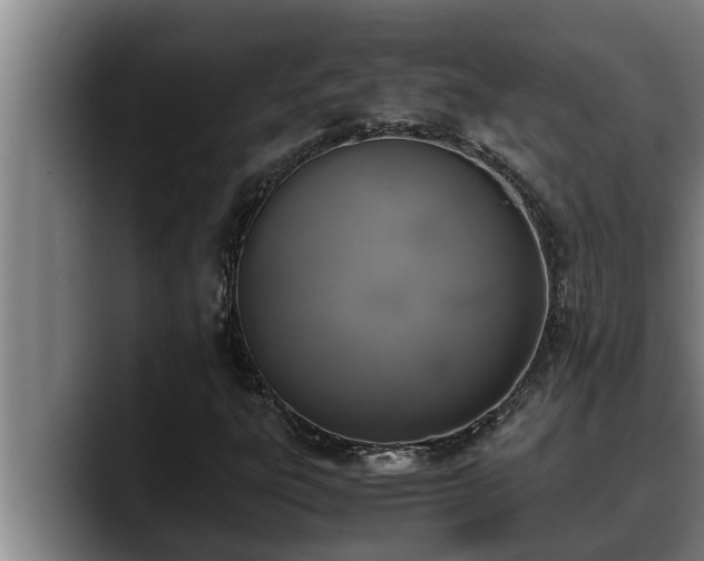 X0000090411303200707201053