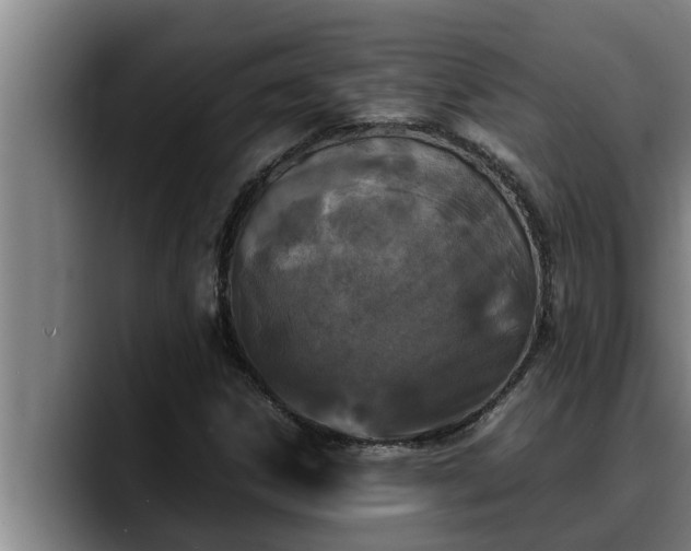 X0000090411306200707201053
