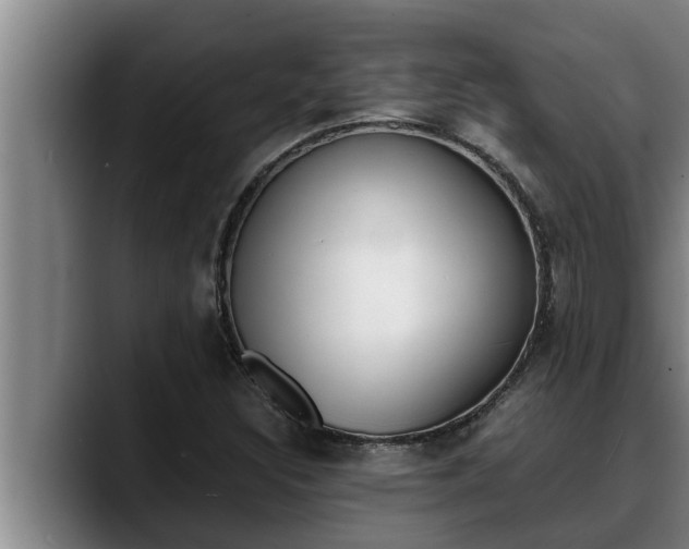 X0000090411308200707201053