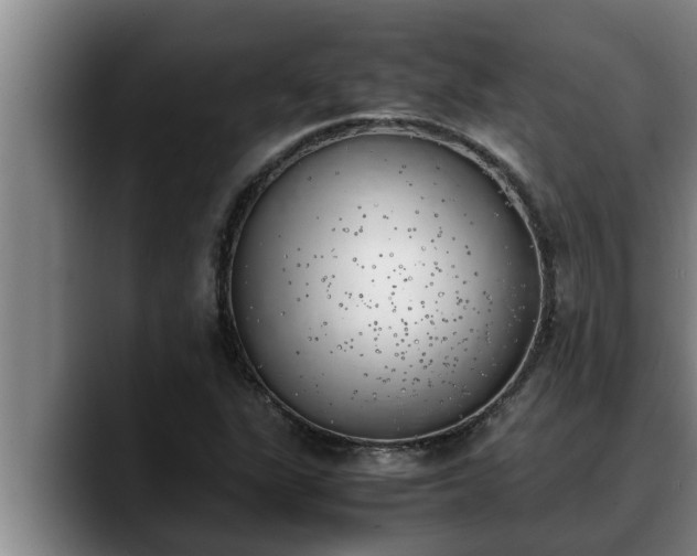 X0000090411311200707201053
