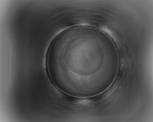 X0000090411331200707201053