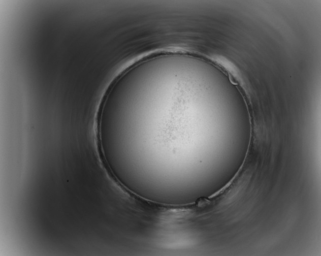 X0000090411335200707201053