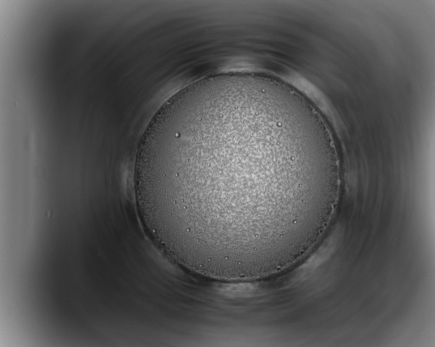 X0000090411337200707201053