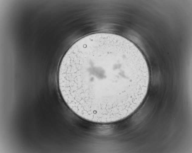 X0000090411338200707201053