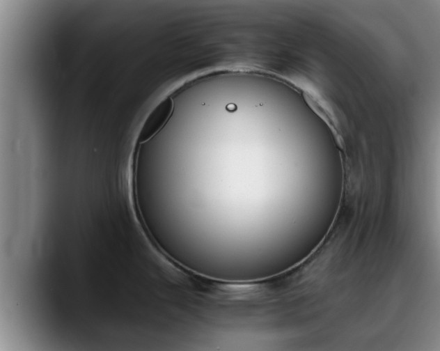 X0000090411343200707201053