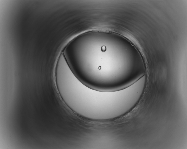X0000090411344200707201053
