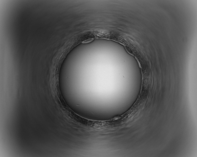X0000090411345200707201053