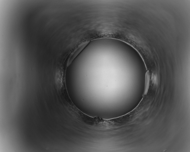 X0000090411348200707201053