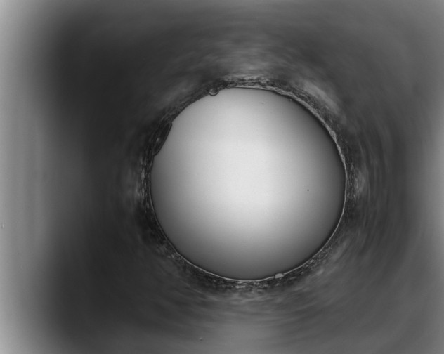 X0000090411350200707201053