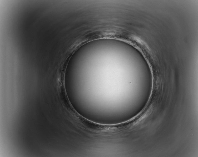 X0000090411353200707201053