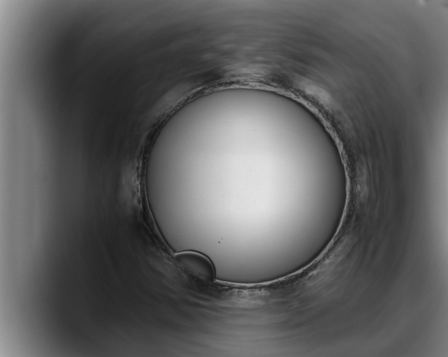 X0000090411354200707201053