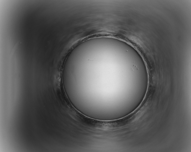 X0000090411355200707201053
