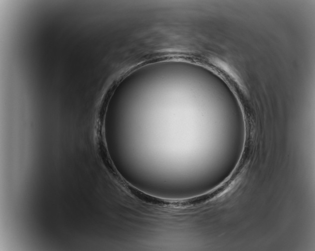 X0000090411357200707201053