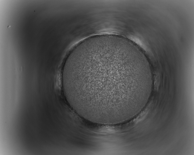 X0000090411358200707201053