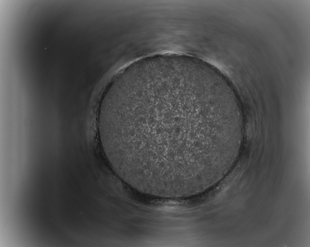 X0000090411359200707201053