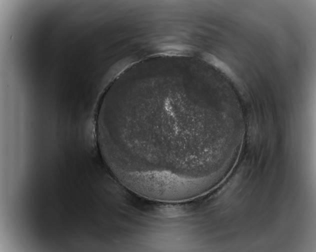 X0000090411362200707201053