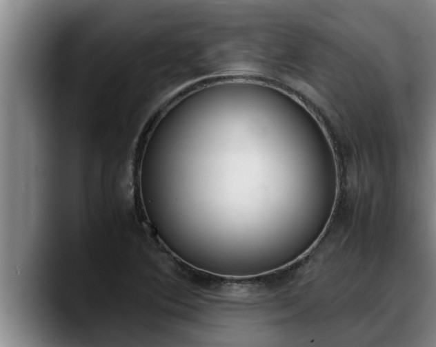 X0000090411364200707201053