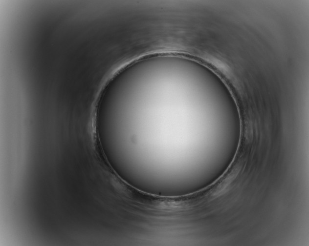 X0000090411366200707201053