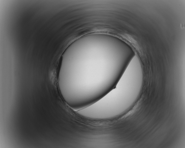 X0000090411369200707201052