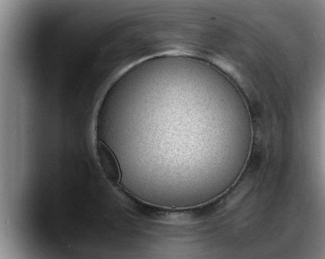 X0000090411375200707201052
