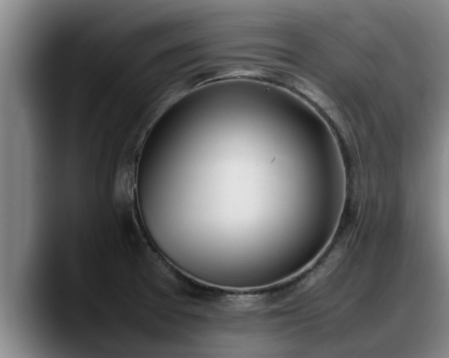 X0000090411377200707201052