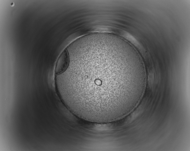 X0000090411378200707201052