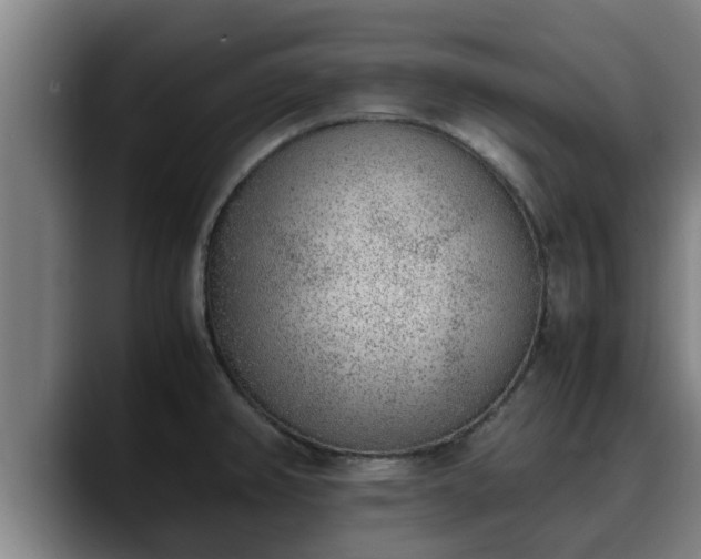 X0000090411382200707201052