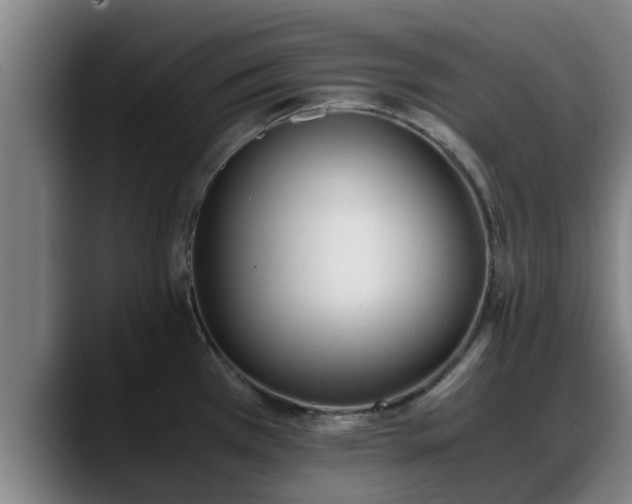 X0000090411385200707201052