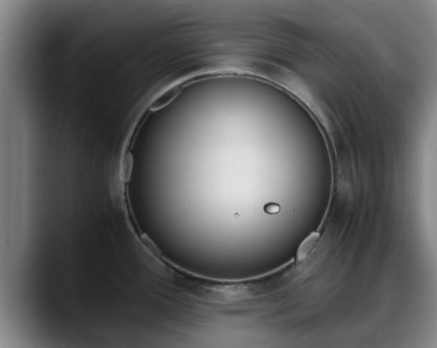 X0000090411388200707201052