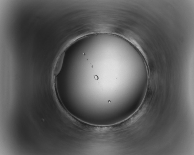 X0000090411389200707201052